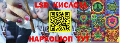 прущие крисы Аргун