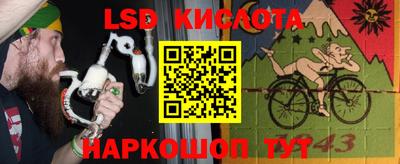 прущие крисы Бийск