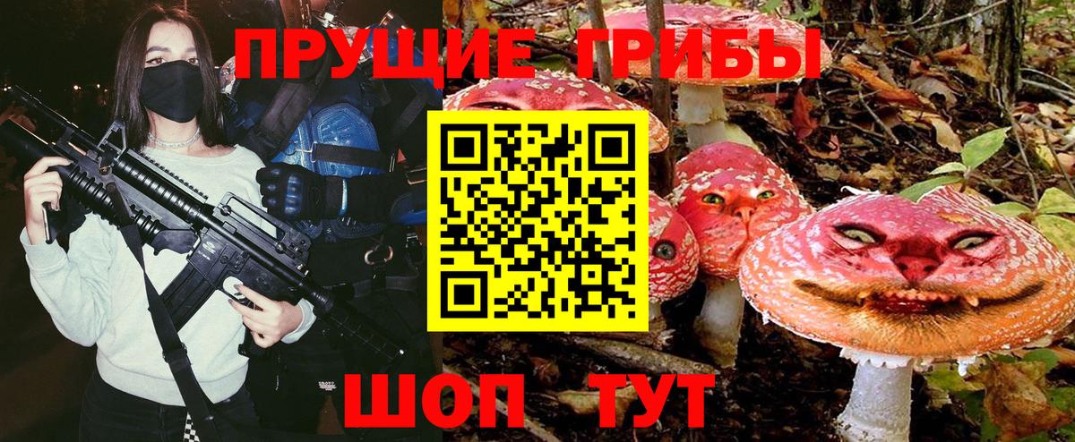 Галлюциногенные грибы Psilocybine cubensis  Берёзовский  Псилоцибиновые грибы ЛСД 