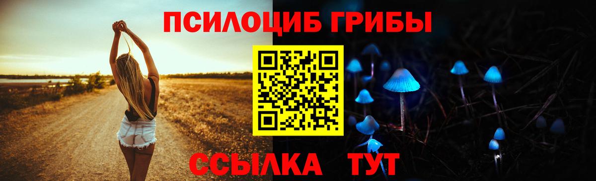 Псилоцибиновые грибы Magic Shrooms Берёзовский