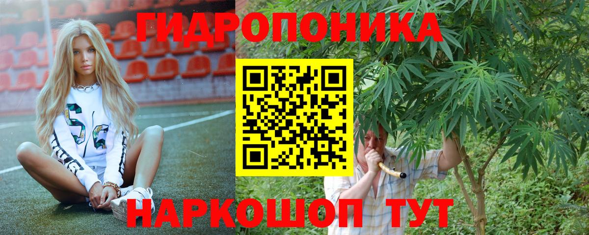 Канабис индика Берёзовский